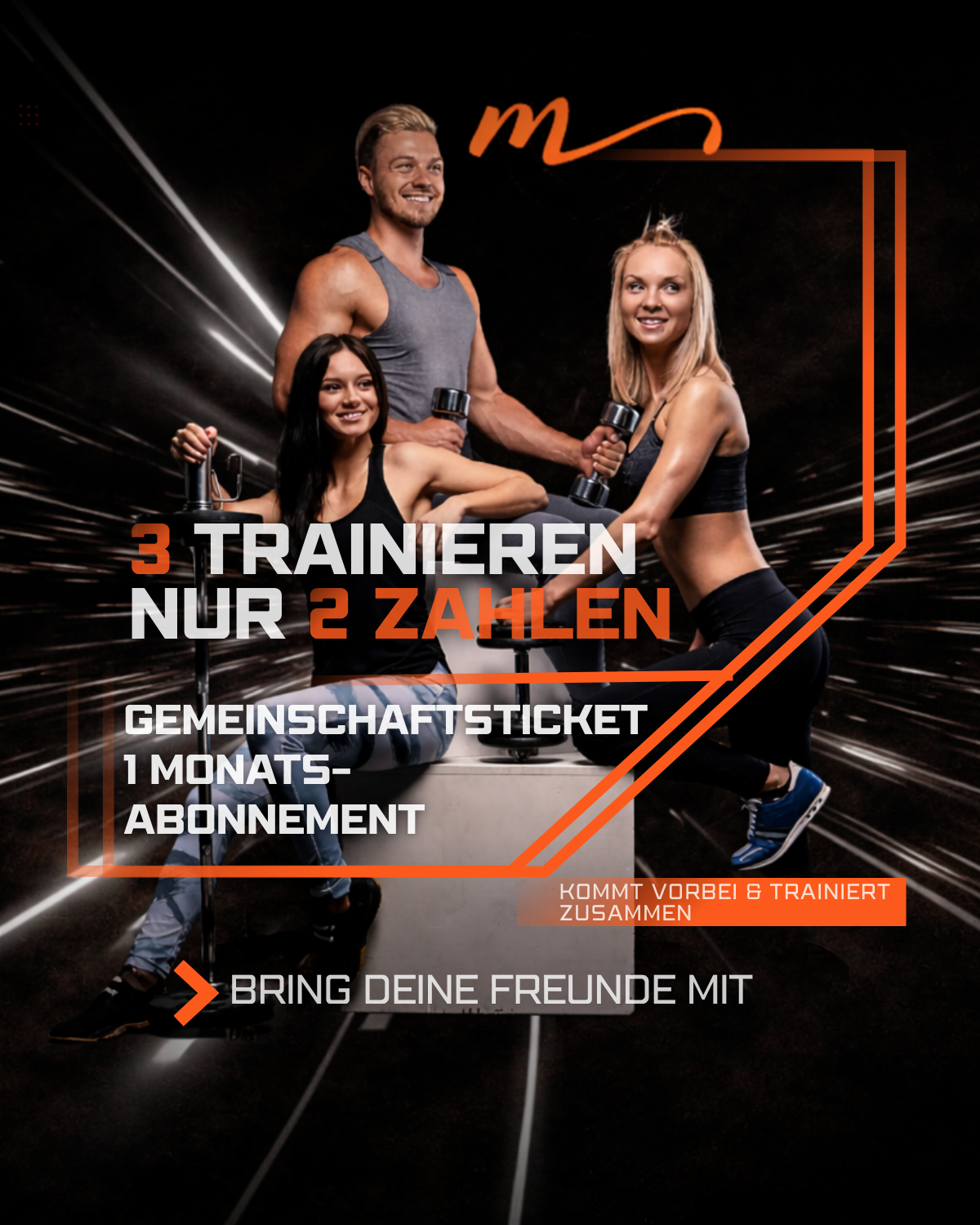 Gemeinschaftsticket - 1 Monats-Abonnement