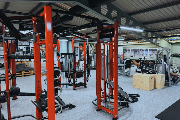 Mastery Oldschool Gym (3) Mastery Oldschool Gym (3)